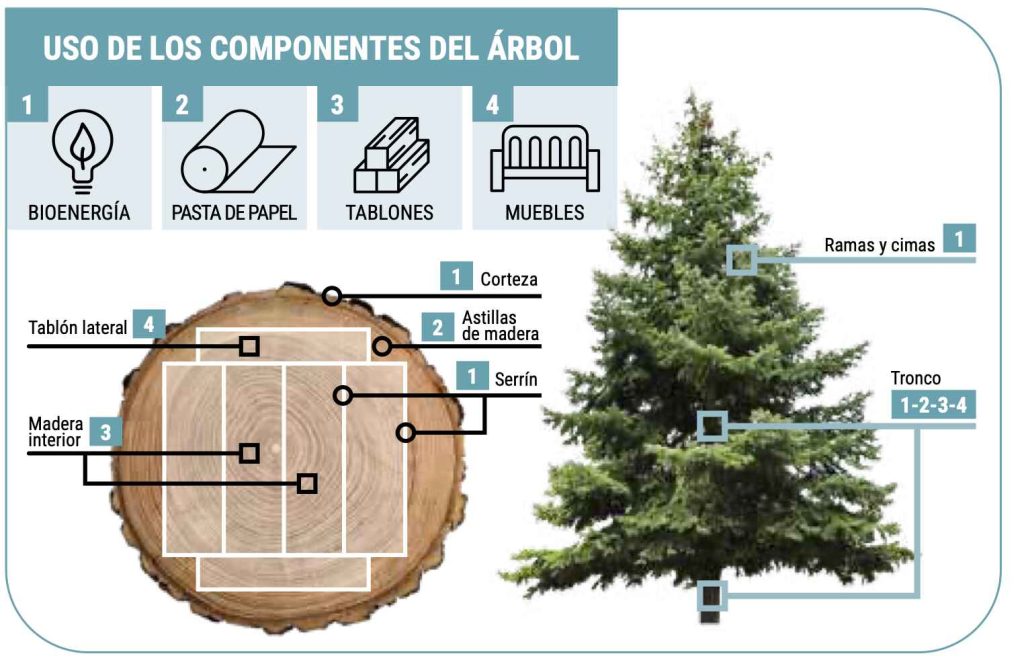 Más papel, más árboles
